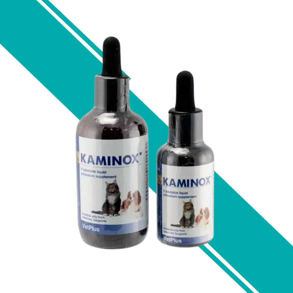 Kaminox Potassium Renal Supplement Liquid for Dogs and Cats